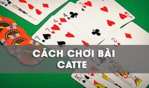 Cách chơi Catte Nhatvip dễ hiểu